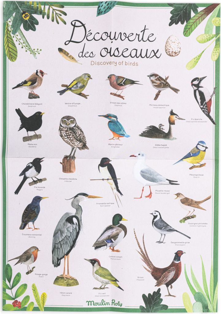 Coffret découverte oiseaux - Le Jardin du Moulin