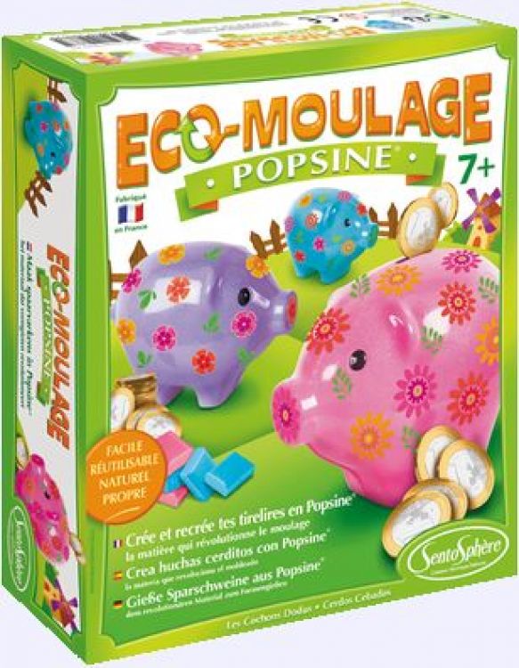 Eco Moulage en popsine - Cochon Dodu (couverture)