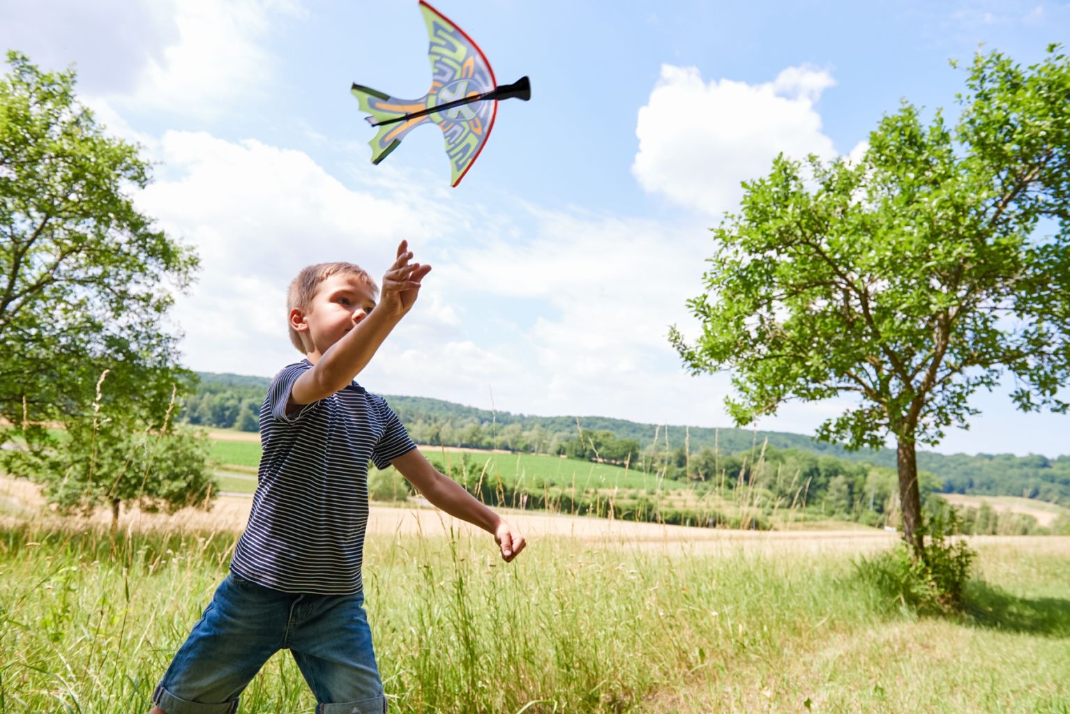 Terra Kids - Fronde oiseau