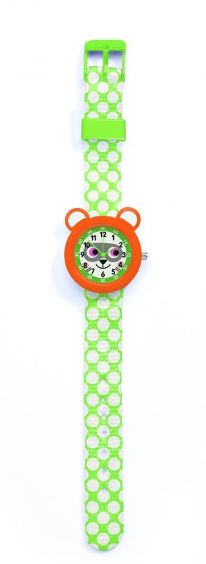 Montre Raton Laveur (couverture)