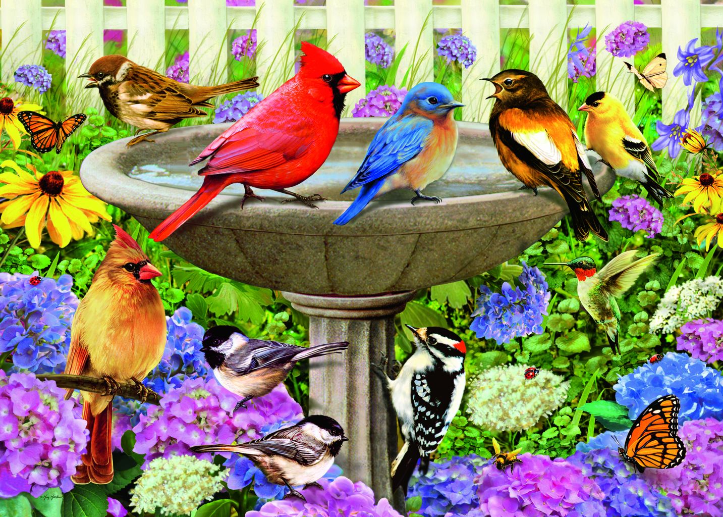 Puzzle - L'abreuvoir des oiseaux - 500 pcs
