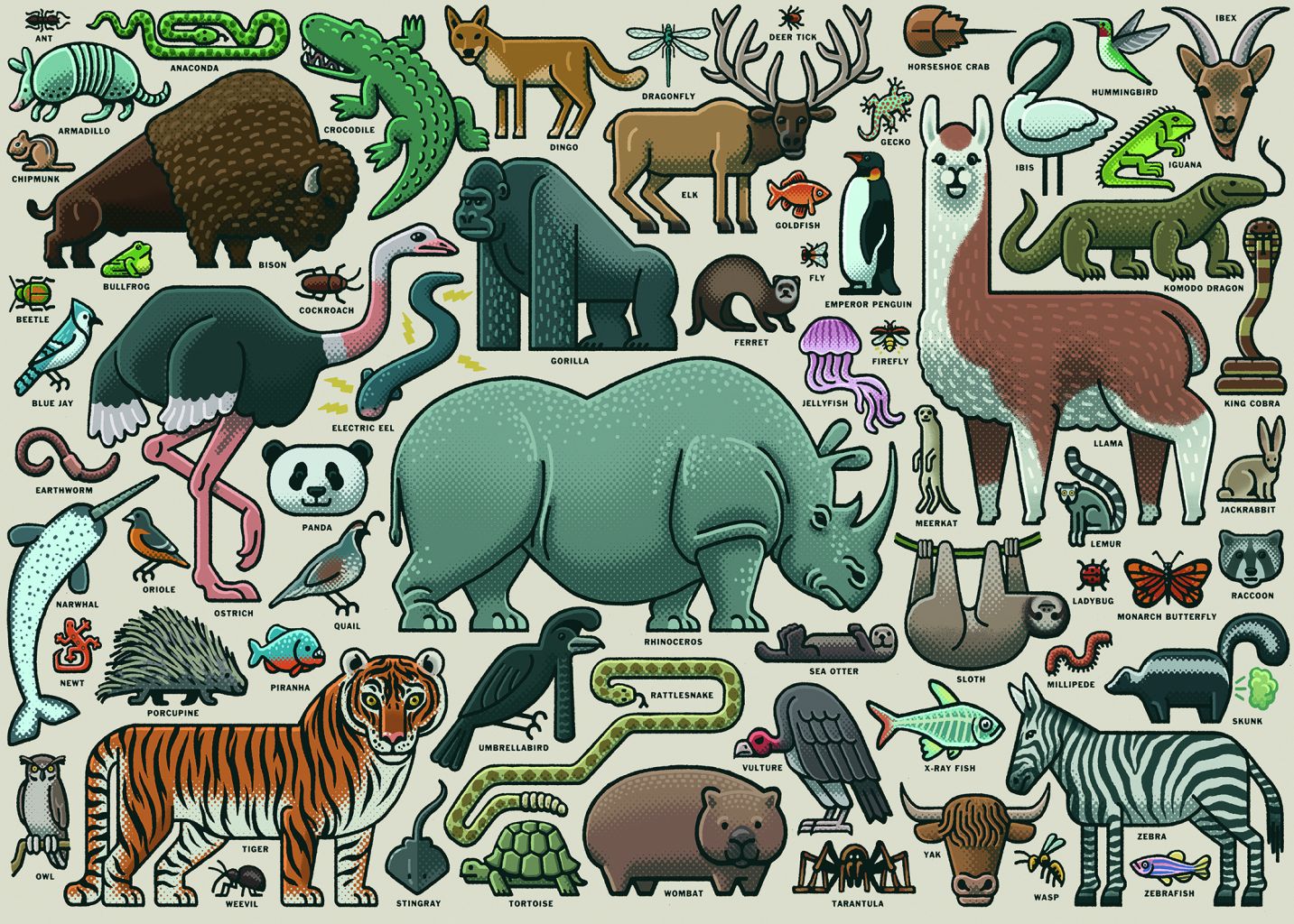 Puzzle - Animaux sauvages - 1000 pcs