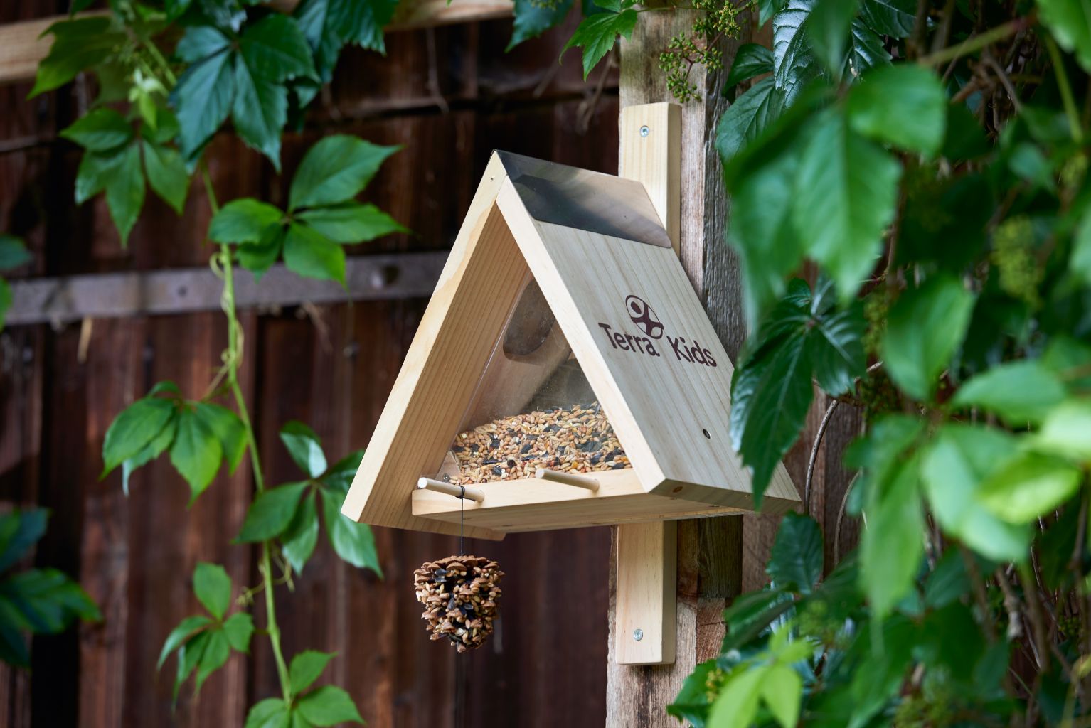 Acheter Mangeoire à écureuils en bois, mangeoire à oiseaux, mangeoire à  écureuils, produits créatifs de jardin extérieur