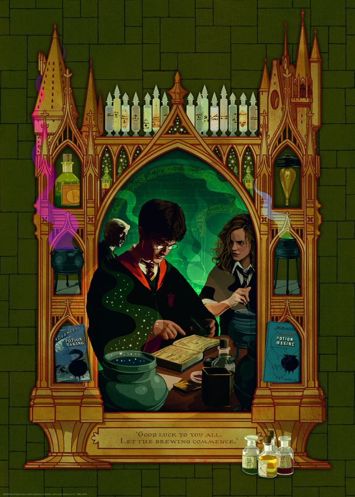 Puzzle - Harry Potter et Hermione - 1000 pcs