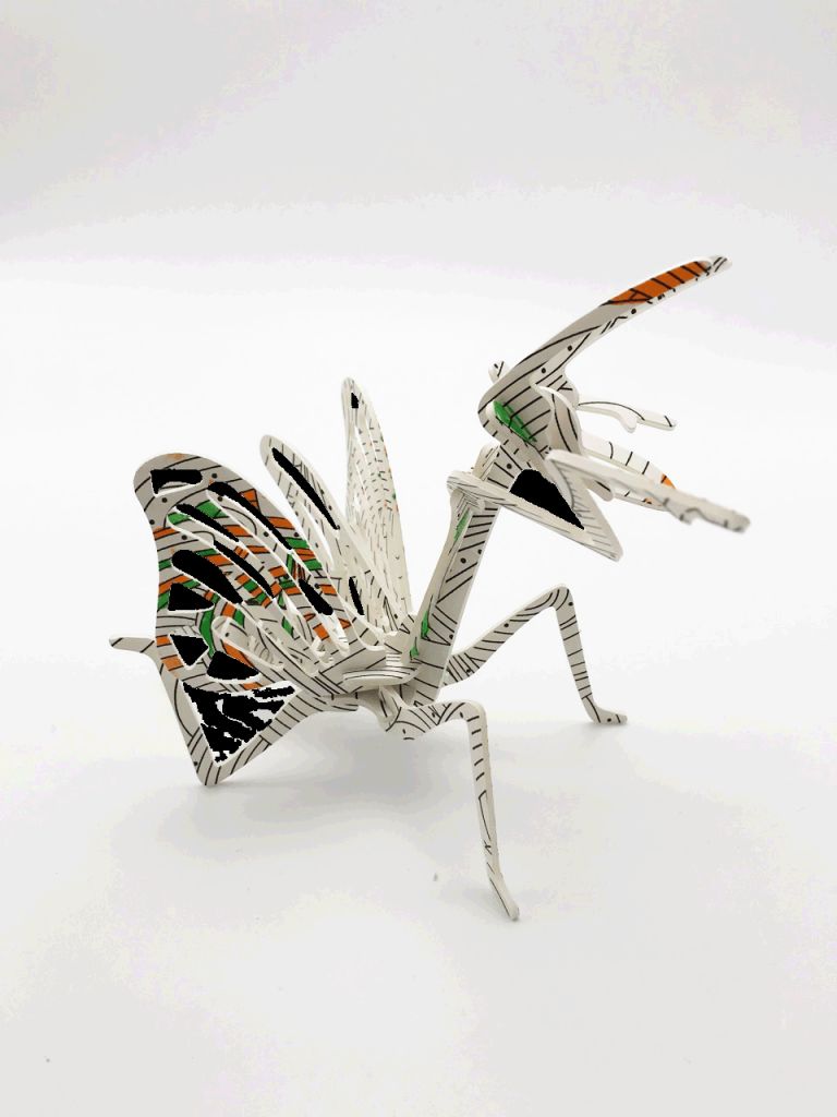 Puzzle books - Insectes