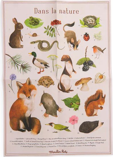 Coffret découverte - Animaux du jardin