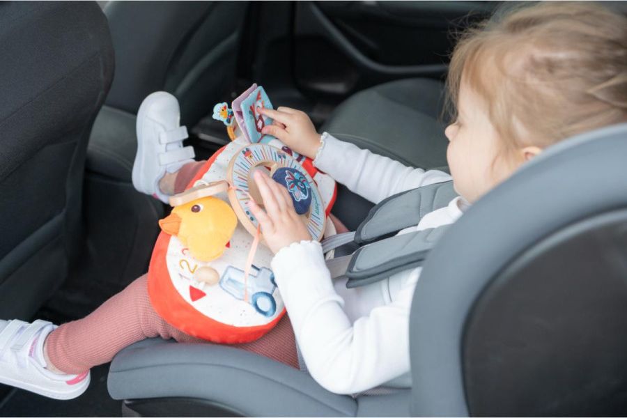 Ferme - Panneau d'activités en voiture