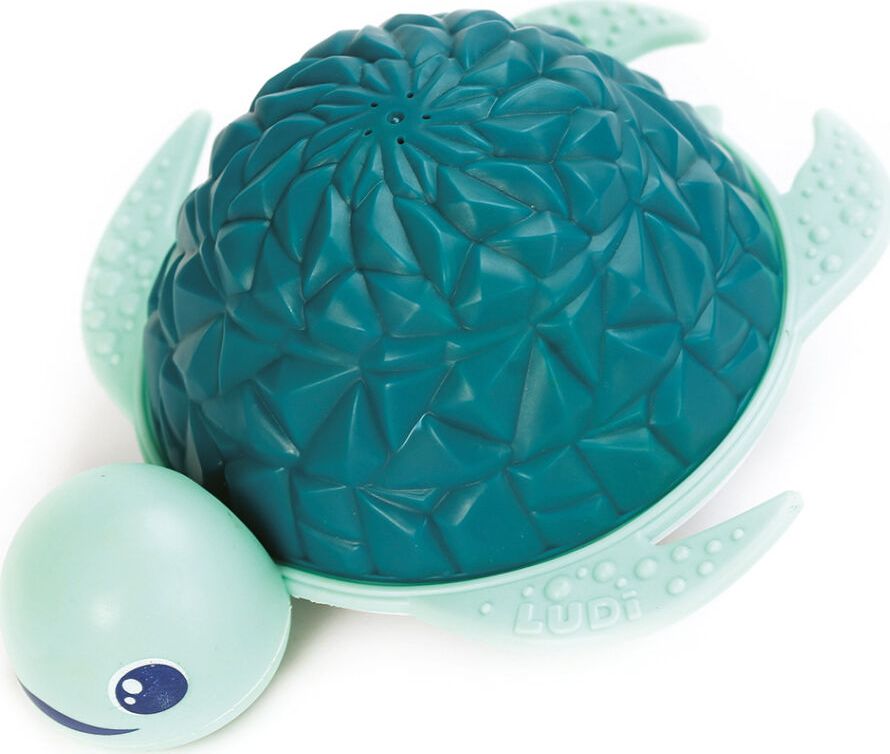 Tortue Splash