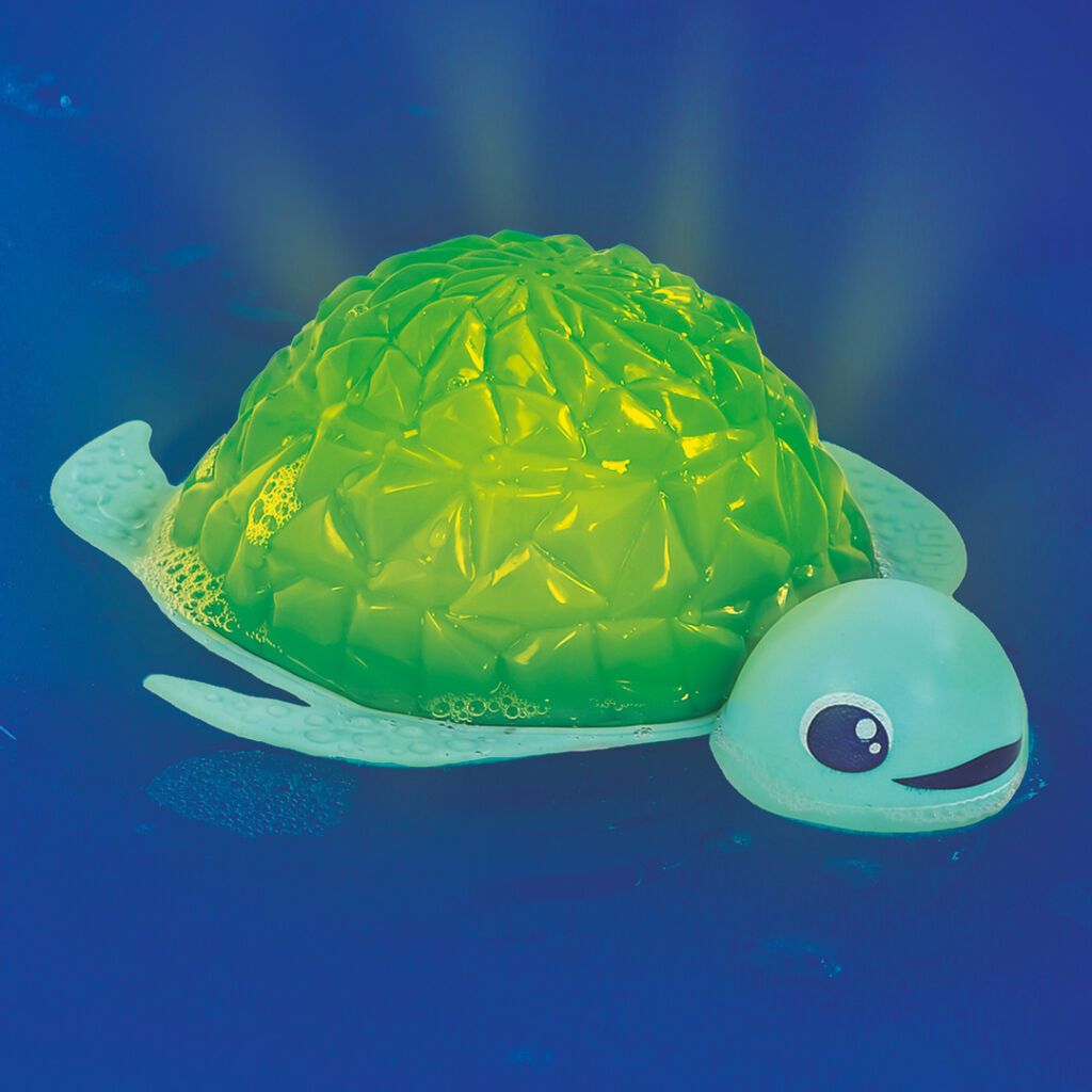 Tortue Splash