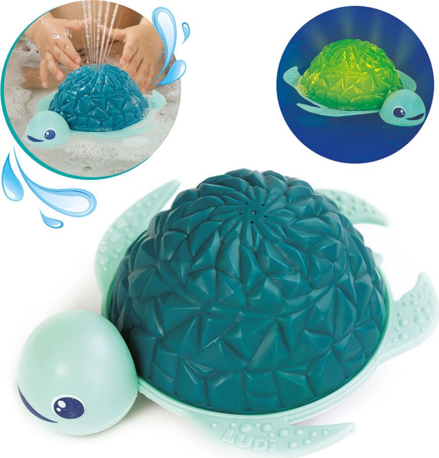 Tortue Splash