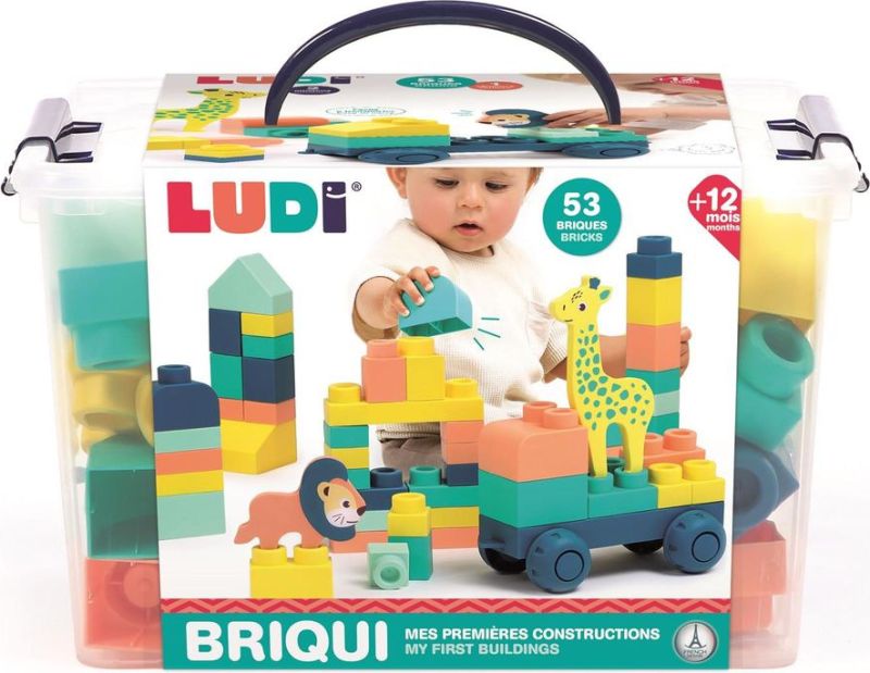 Briqui à construire (couverture)