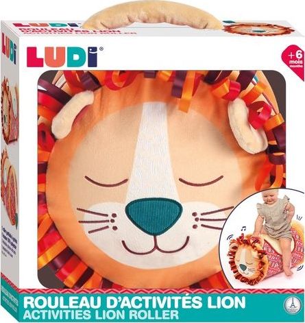 Rouleau d'activités Lion (couverture)