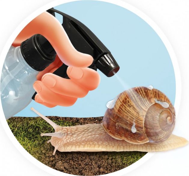Maison des Escargots