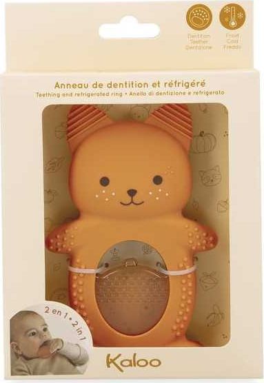 Duo dentition et r&eacute;frig&egrave;re Ecureuil  (couverture)