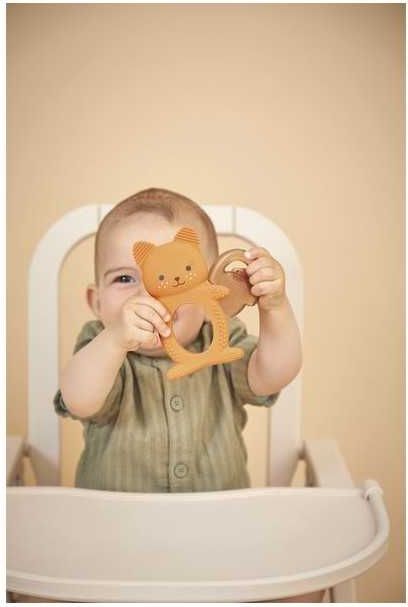 Duo dentition et r&eacute;frig&egrave;re Ecureuil 