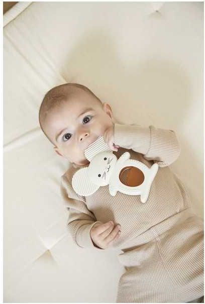 Duo dentition et r&eacute;frig&egrave;re Souris