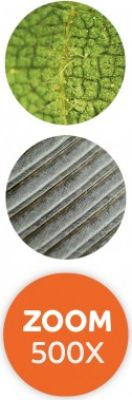 Microscope Loupe Vid&eacute;o