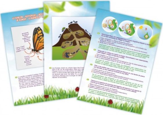 Explorateur insectes