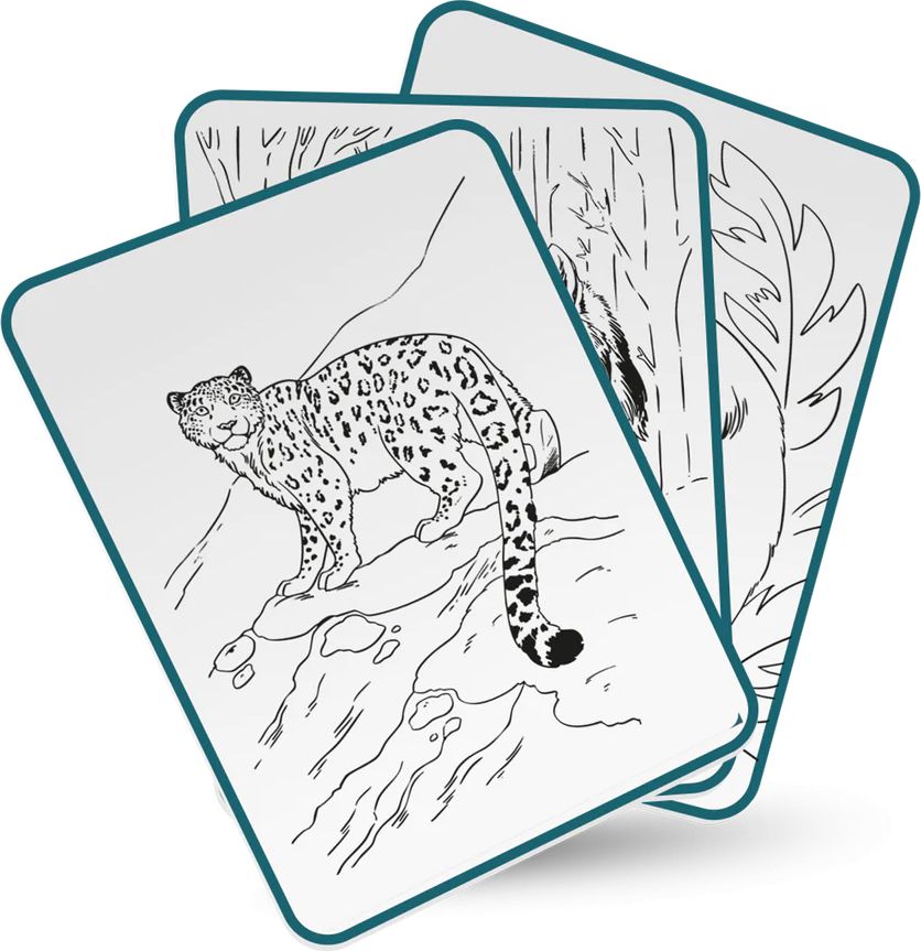 Kidydraw - Tablette &agrave; dessin lumineuse - Animaux