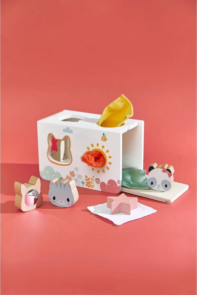 Bo&icirc;te &agrave; Mouchoirs Sensorielle