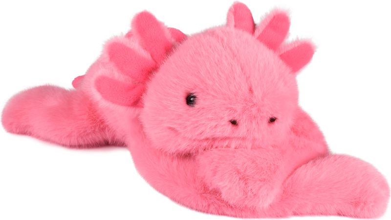 Podcoll Axolotl (couverture)