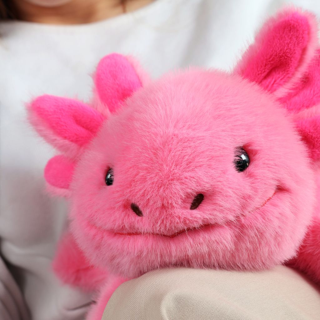 Podcoll Axolotl