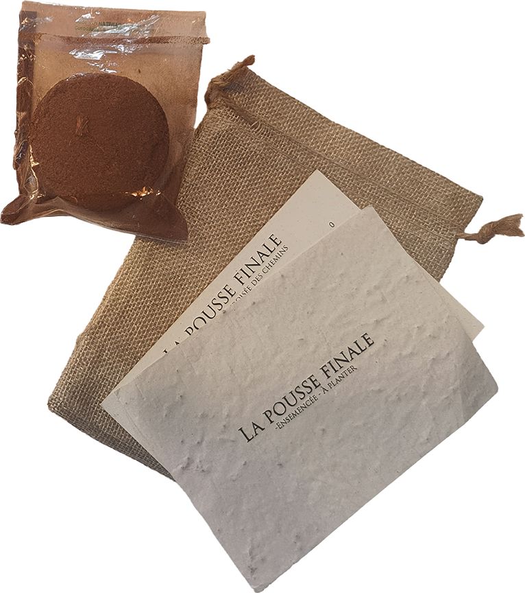 Le Secret de la Fleur &Eacute;ternelle