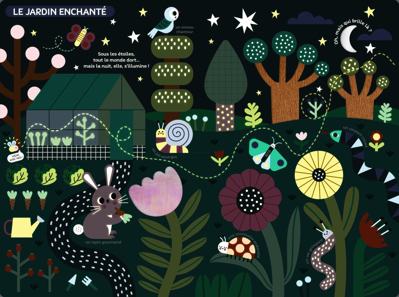 Grand Livre &eacute;veil nuit