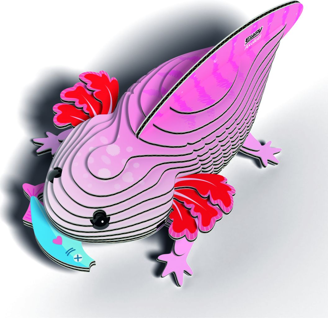 Axolotl