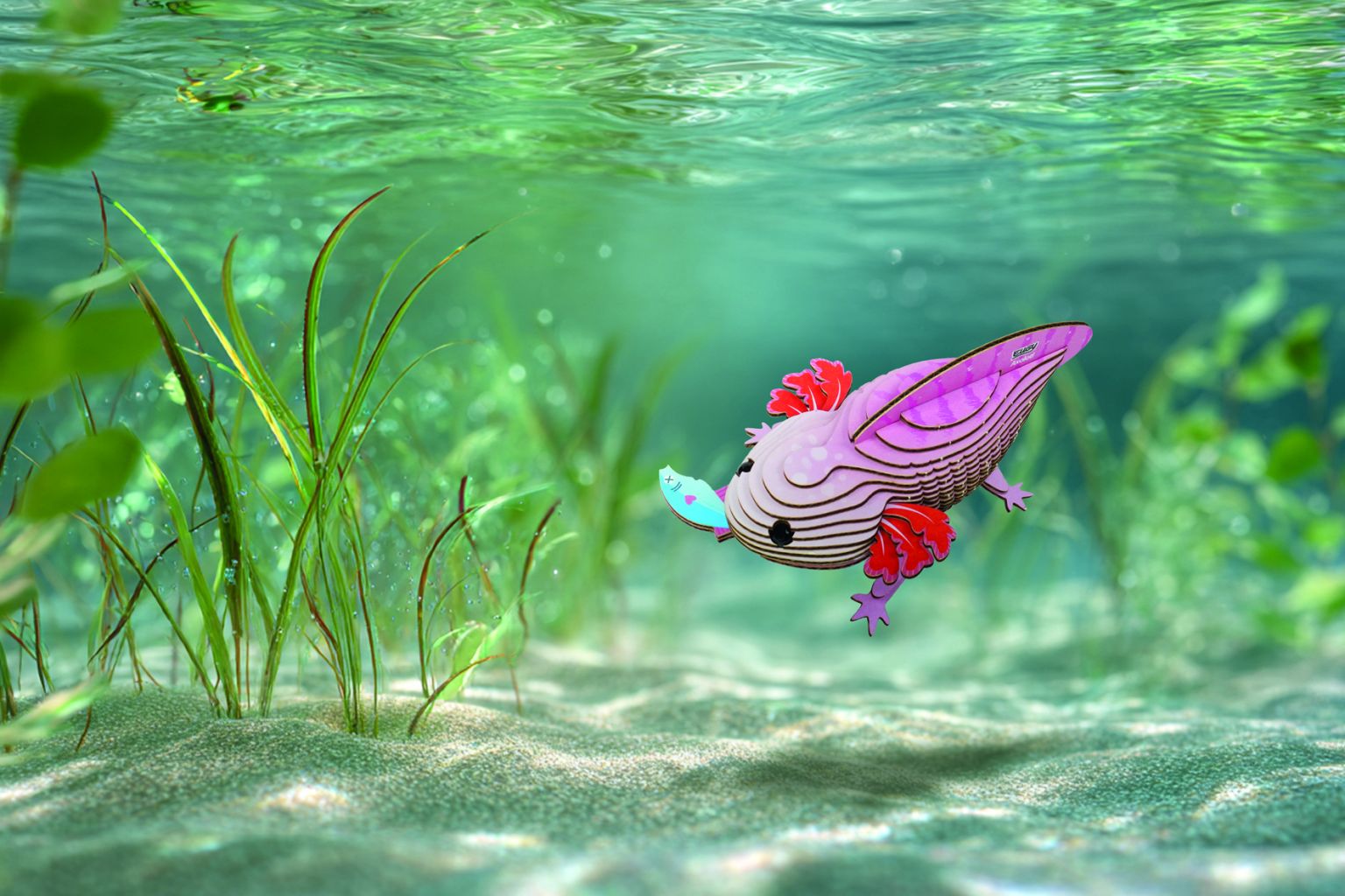Axolotl